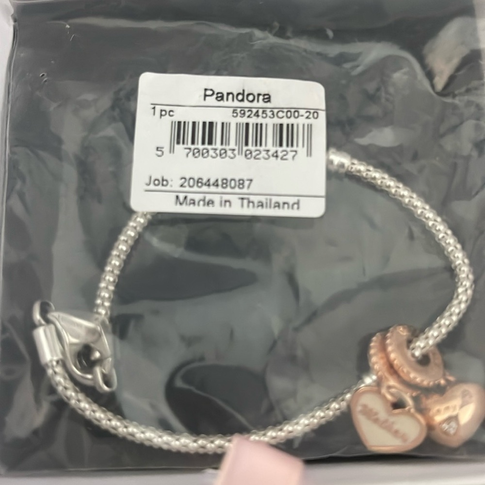 Pandora braceletl and charm.